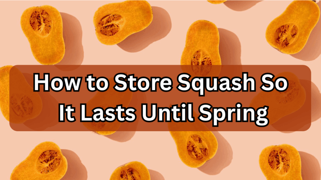 How to Store Squash So It Lasts Until Spring