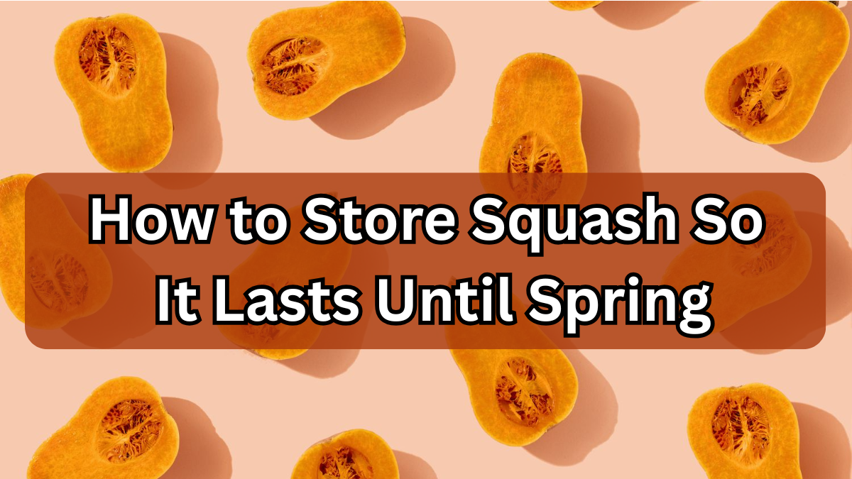 How to Store Squash So It Lasts Until Spring