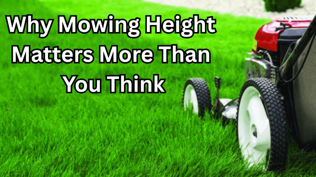Why Mowing Height Matters More Than You Think