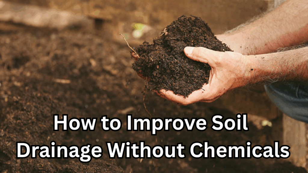 How to Improve Soil Drainage Without Chemicals