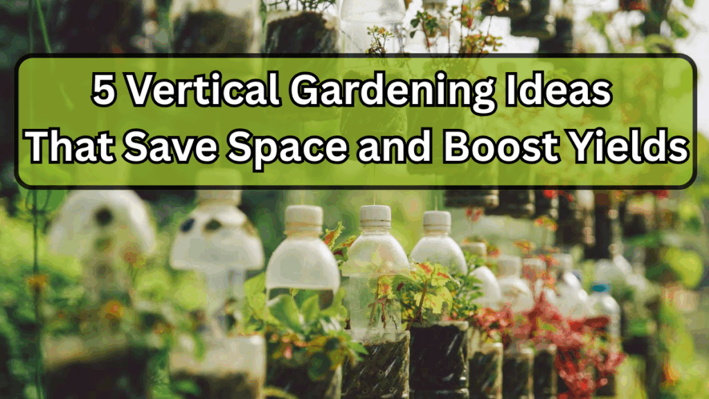5 Vertical Gardening Ideas That Save Space and Boost Yields