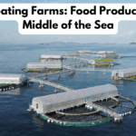 Global Floating Farms: Food Production in the Middle of the Sea