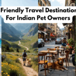 Best Dog Friendly Travel Destinations Perfect For Indian Pet Owners