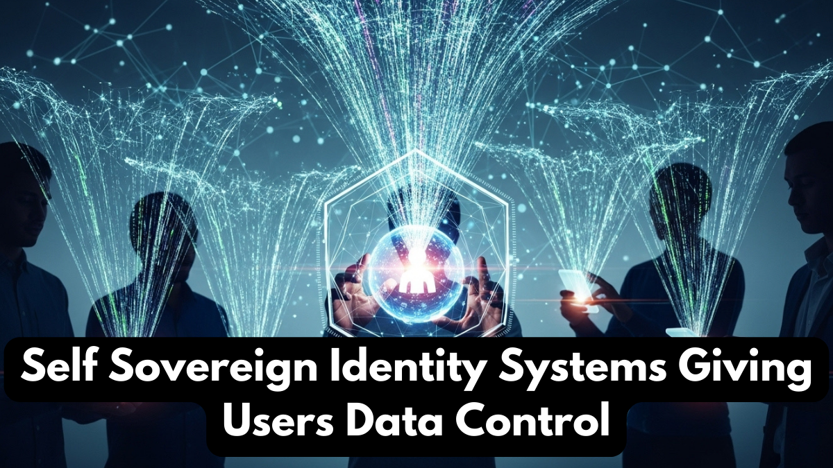 Self Sovereign Identity Systems Giving Users Data Control