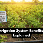Drip Irrigation System Benefits India Explained