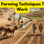 Ancient Farming Techniques That Still Work